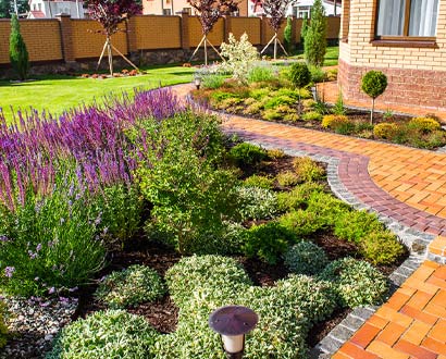 Front Yard Butterfly Garden Two Years Later: The First Lady's
