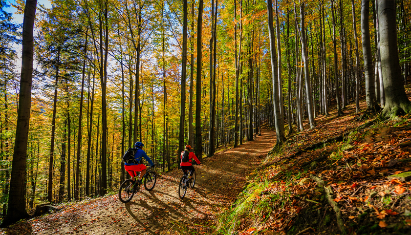 Bike Trails