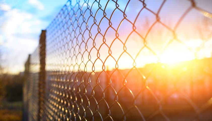 Chain Link Fence