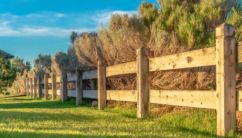 Split Rail Fence