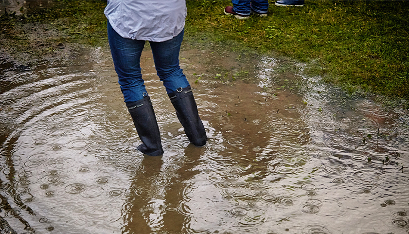 Flooded Yard