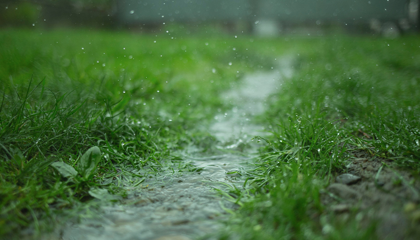 Rain Water In Yard