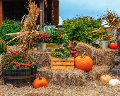 Fall Decorations