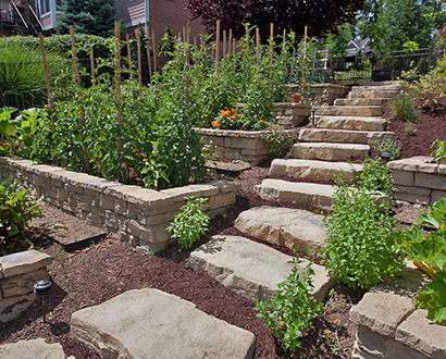 Raised Garden Beds