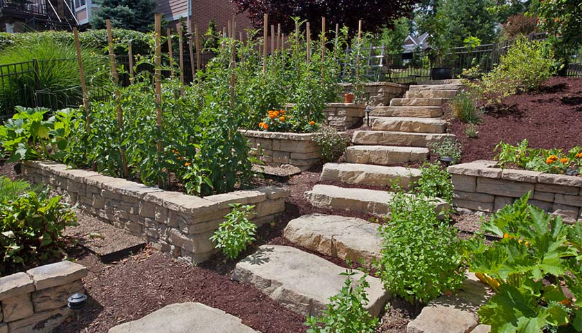 Raised Garden Beds