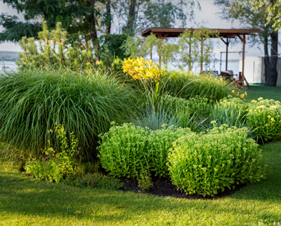 Rain Garden