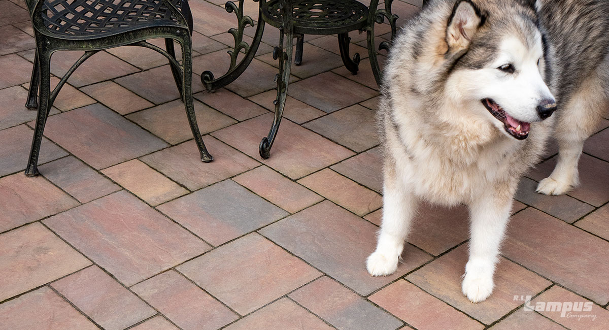 Grandview Paving Stones R.I. Lampus